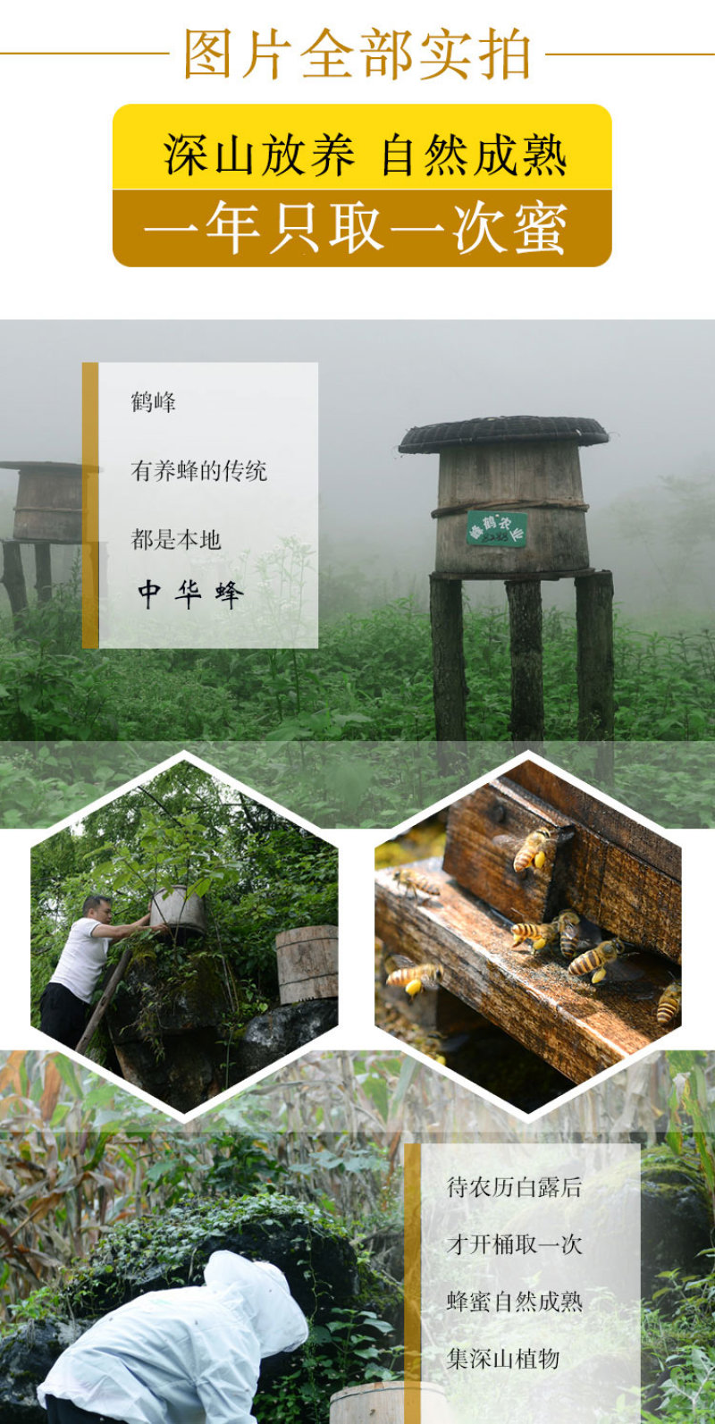 湖北恩施特产鹤峰土蜂蜜隐谷野生蜂蜜礼盒460g