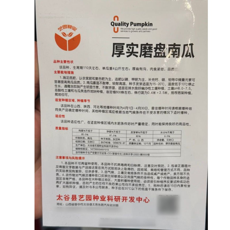 厚实磨盘南瓜种子扁厚有沟肉食紧密