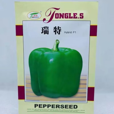 瑞特甜椒种子方灯笼椒种子果实绿色膨果快