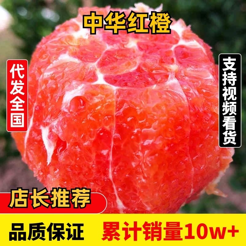 中华红血橙，秭归中华红血橙精选大果皮薄肉多交通便利