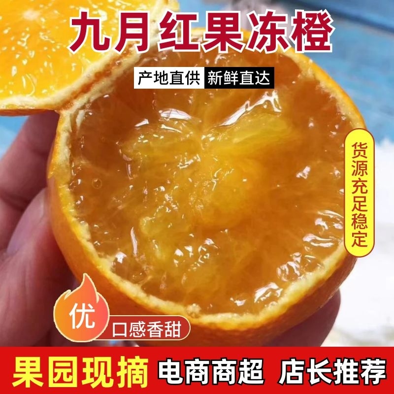 九月红果冻橙，皮薄味甜果肉细腻入口化渣，欢迎咨询
