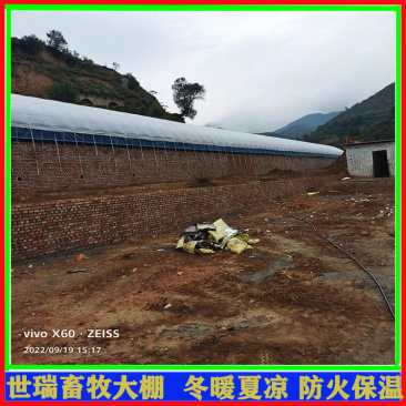 养兔大棚建设兔舍大棚施工肉兔保温大棚搭建世瑞畜牧