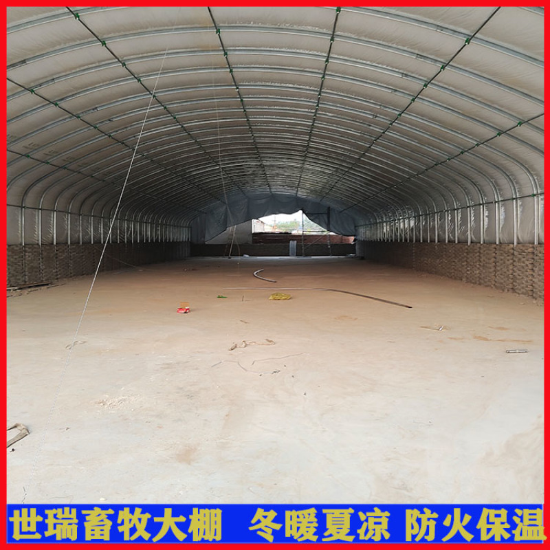 养兔大棚建设兔舍大棚施工肉兔保温大棚搭建世瑞畜牧