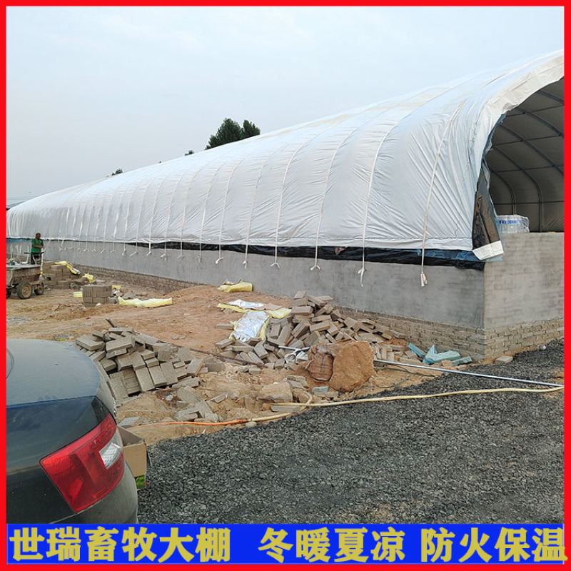 养兔大棚建设兔舍大棚施工肉兔保温大棚搭建世瑞畜牧