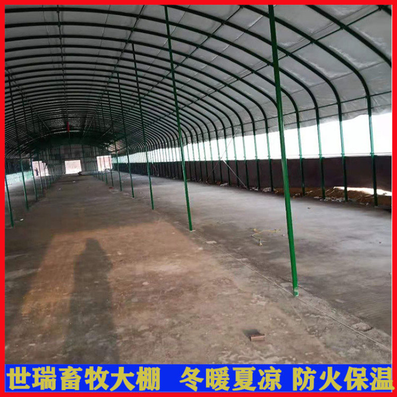养牛大棚建造牛舍大棚施工黄牛养殖大棚安装世瑞畜牧