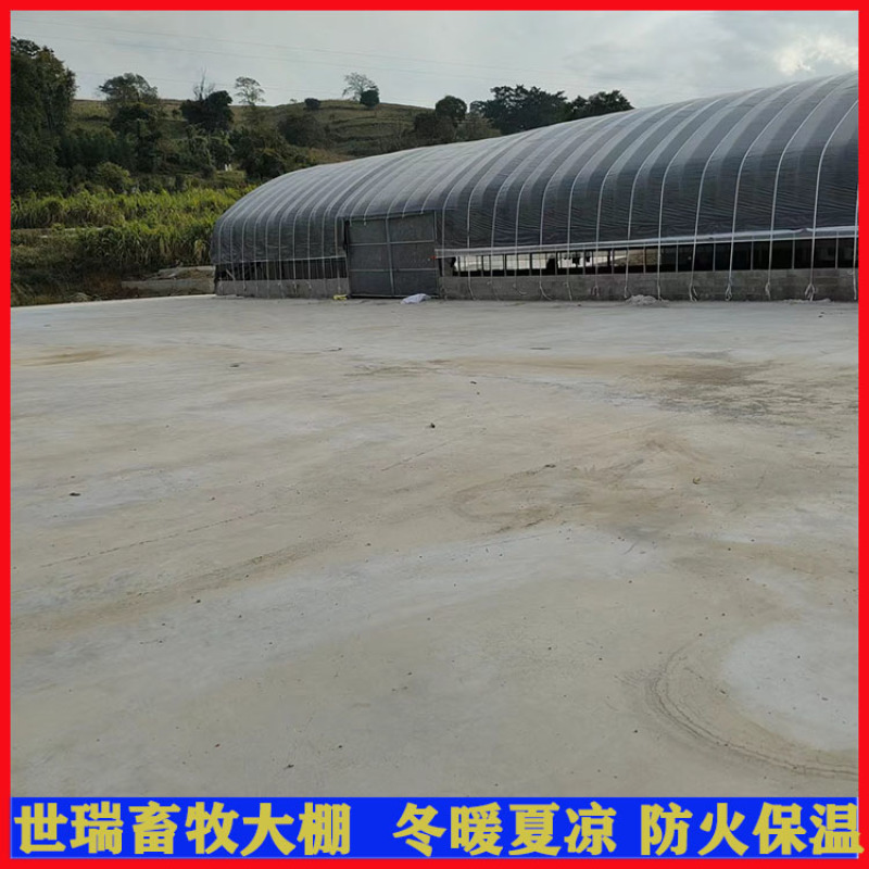 养牛大棚建造牛舍大棚施工黄牛养殖大棚安装世瑞畜牧
