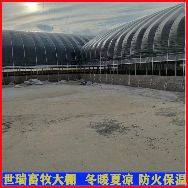 养牛大棚建造牛舍大棚施工黄牛养殖大棚安装世瑞畜牧