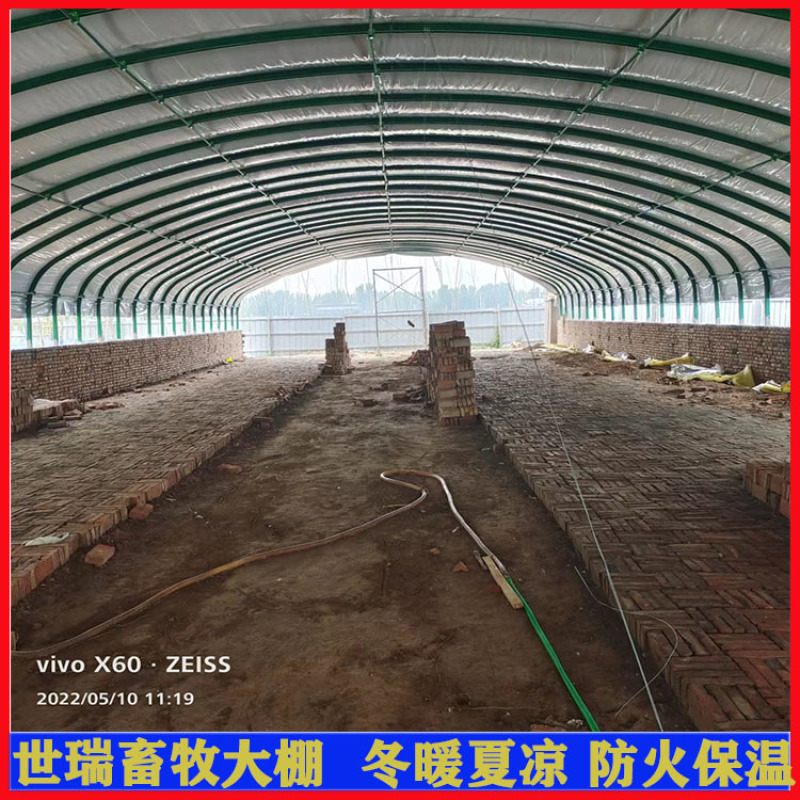养羊大棚安装羊舍大棚施工山羊养殖大棚建造世瑞畜牧
