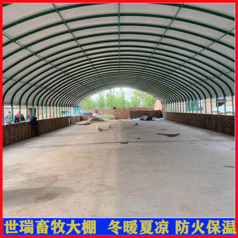 养羊大棚安装羊舍大棚施工山羊养殖大棚建造世瑞畜牧