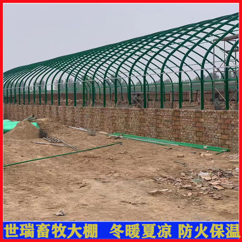 养羊大棚安装羊舍大棚施工山羊养殖大棚建造世瑞畜牧