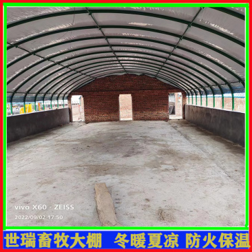 保温养鸭大棚建设鸭舍大棚安装肉鸭养殖大棚施工世瑞