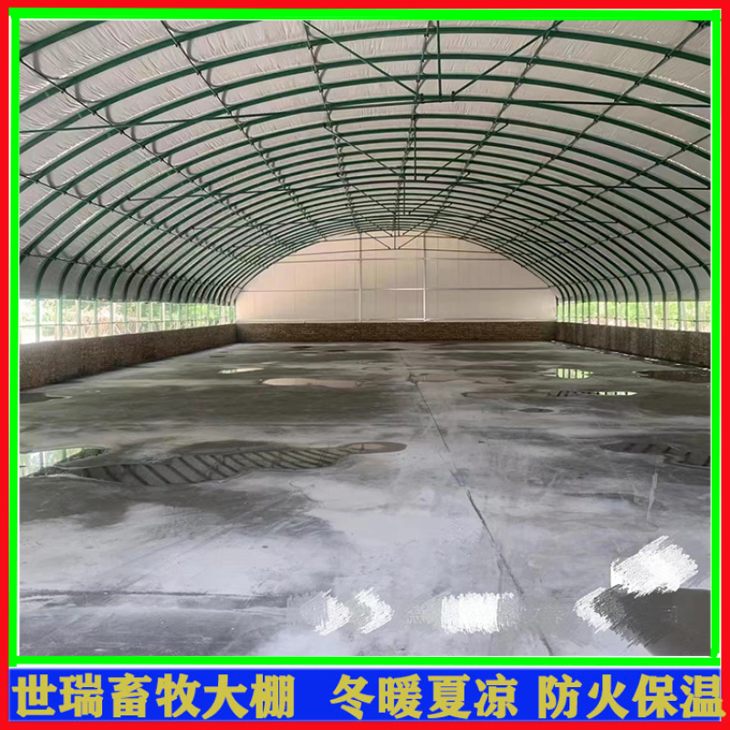 保温养鸭大棚建设鸭舍大棚安装肉鸭养殖大棚施工世瑞