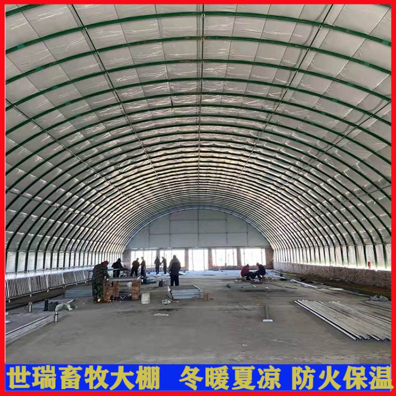 鸡舍大棚安装肉鸡养殖大棚建设蛋鸡养殖大棚搭建