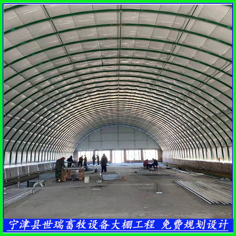 建设养猪大棚猪舍大棚施工保温猪舍大棚建造世瑞畜牧