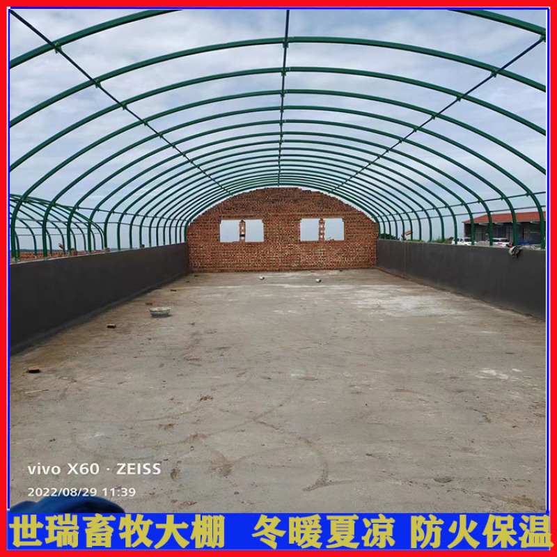 建设养猪大棚猪舍大棚施工保温猪舍大棚建造世瑞畜牧