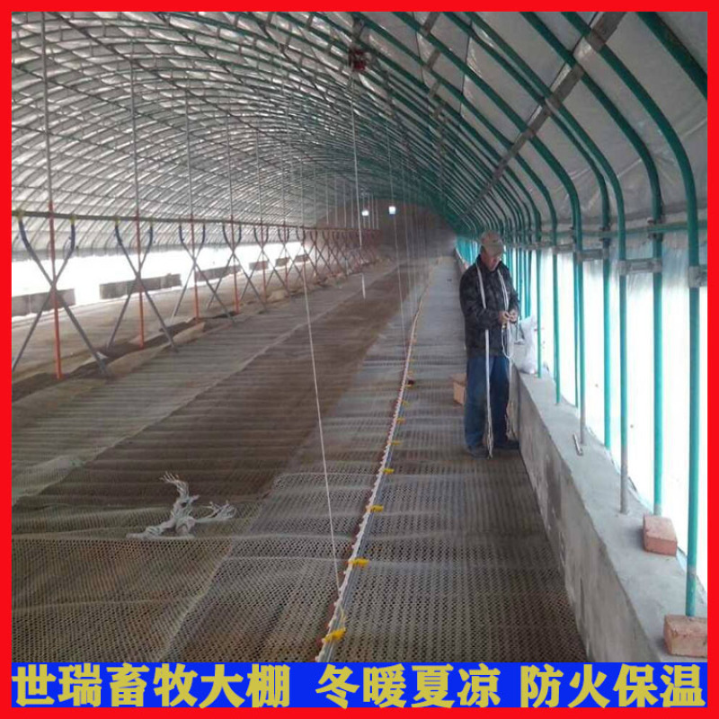 鹅舍大棚建设肉鹅养殖大棚搭建养鹅大棚安装世瑞畜牧