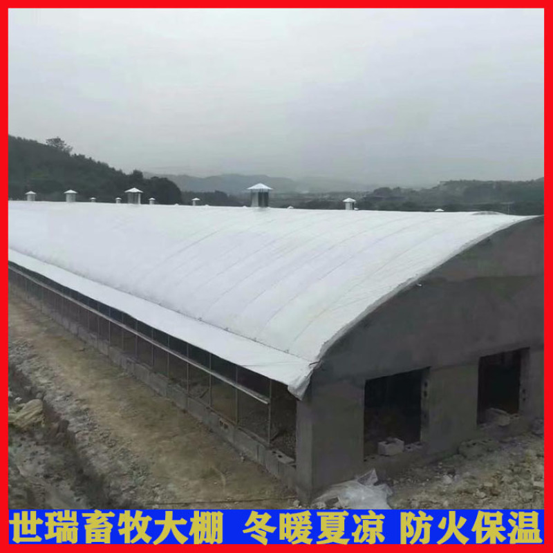 鹅舍大棚建设肉鹅养殖大棚搭建养鹅大棚安装世瑞畜牧