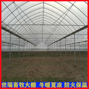 蔬菜种植大棚建设日光暖棚搭建大棚施工花卉大棚