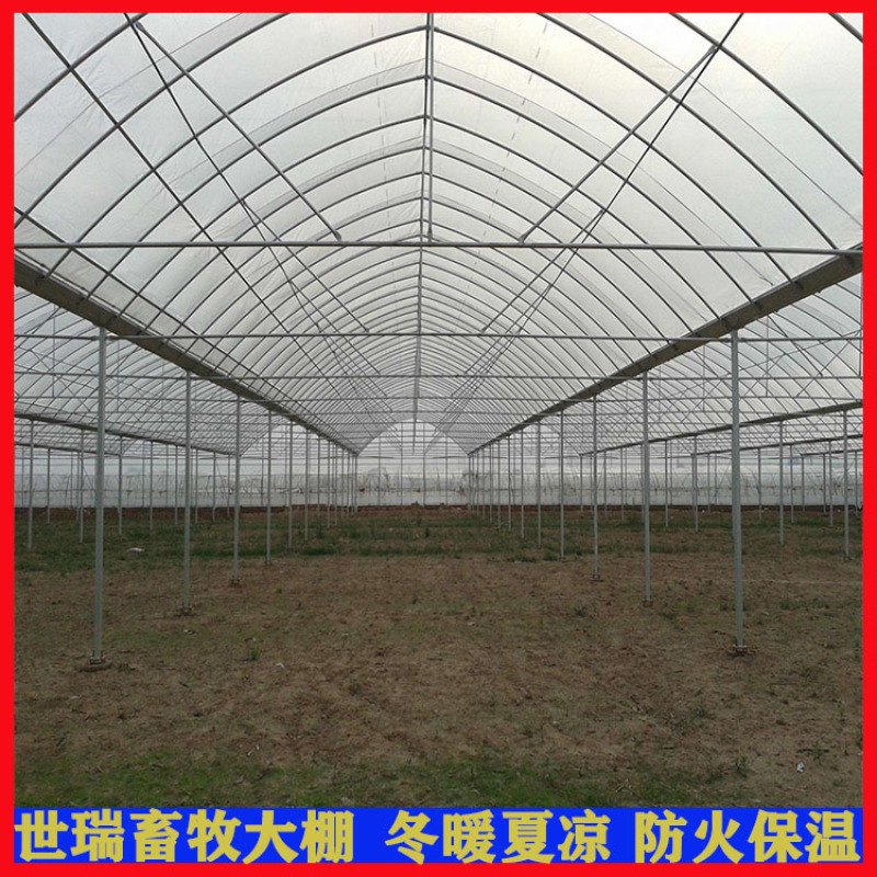 蔬菜种植大棚建设日光暖棚搭建大棚施工花卉大棚