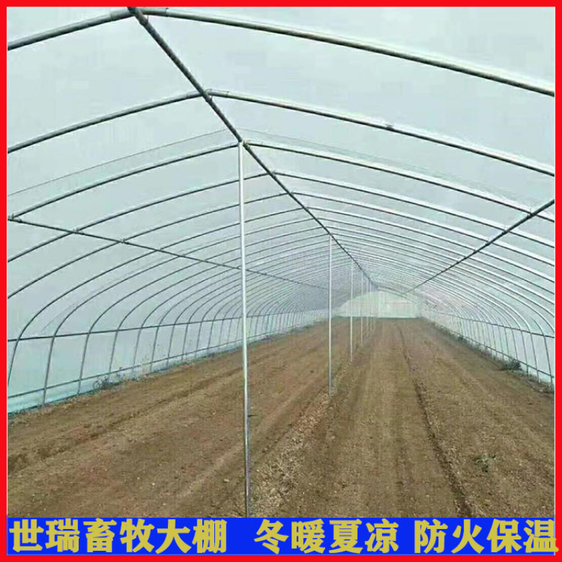 蔬菜种植大棚建设日光暖棚搭建大棚施工花卉大棚