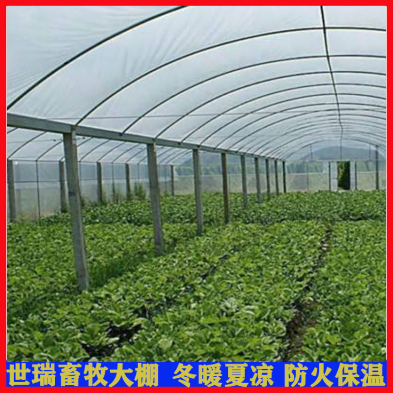 蔬菜种植大棚建设日光暖棚搭建大棚施工花卉大棚