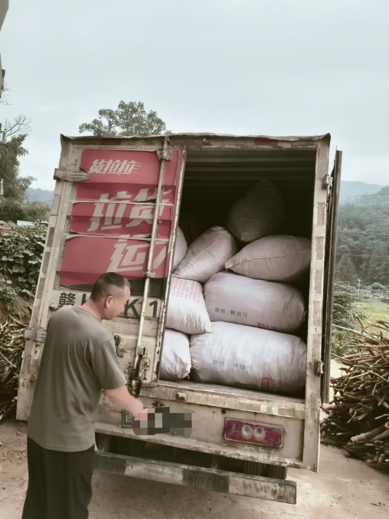 江西本地粉防己大量货源规格齐全欢迎电话联系