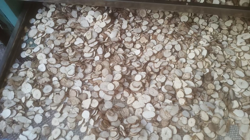 江西本地粉防己大量货源规格齐全欢迎电话联系