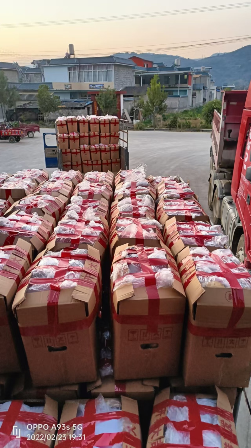 土豆，黄心土豆大量上市，产地直发大量有货欢迎来电咨询洽谈