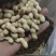 辽宁义县小日本花生果颜色干度成熟度都可选颗粒饱满视频看货