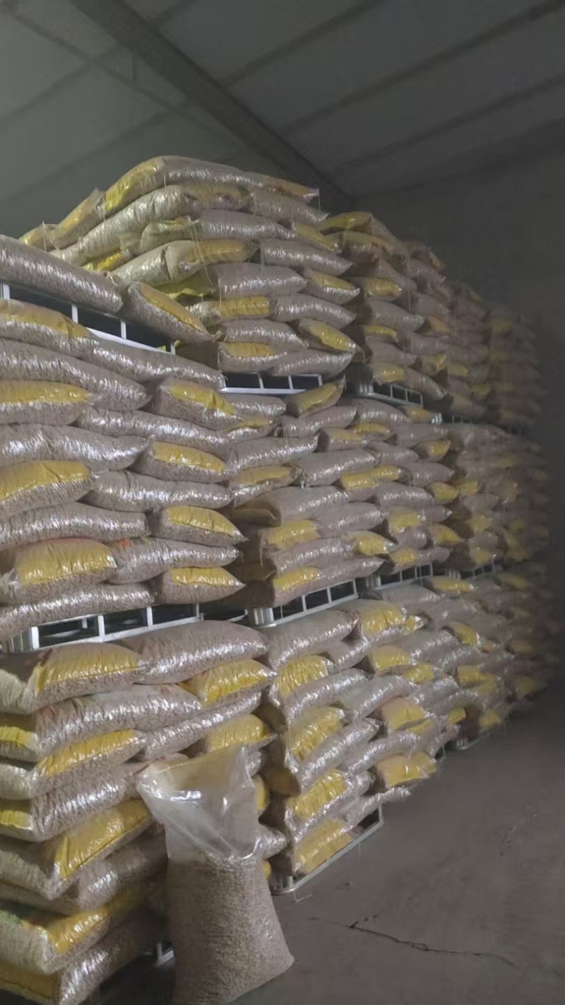辽宁义县小日本花生果颜色干度成熟度都可选颗粒饱满视频看货