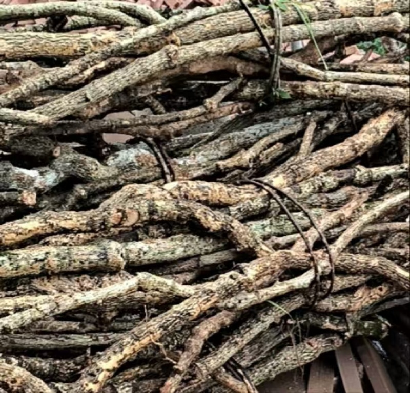 木通统片大量走货规格齐全欢迎选购