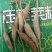 精品天冬新鲜上市一手货源自家种植欢迎来电订货