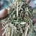 河南精品饲料原料花生秧一手货源诚信经营无霉变