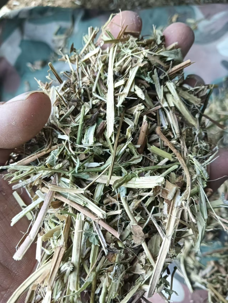河南精品饲料原料花生秧一手货源诚信经营无霉变