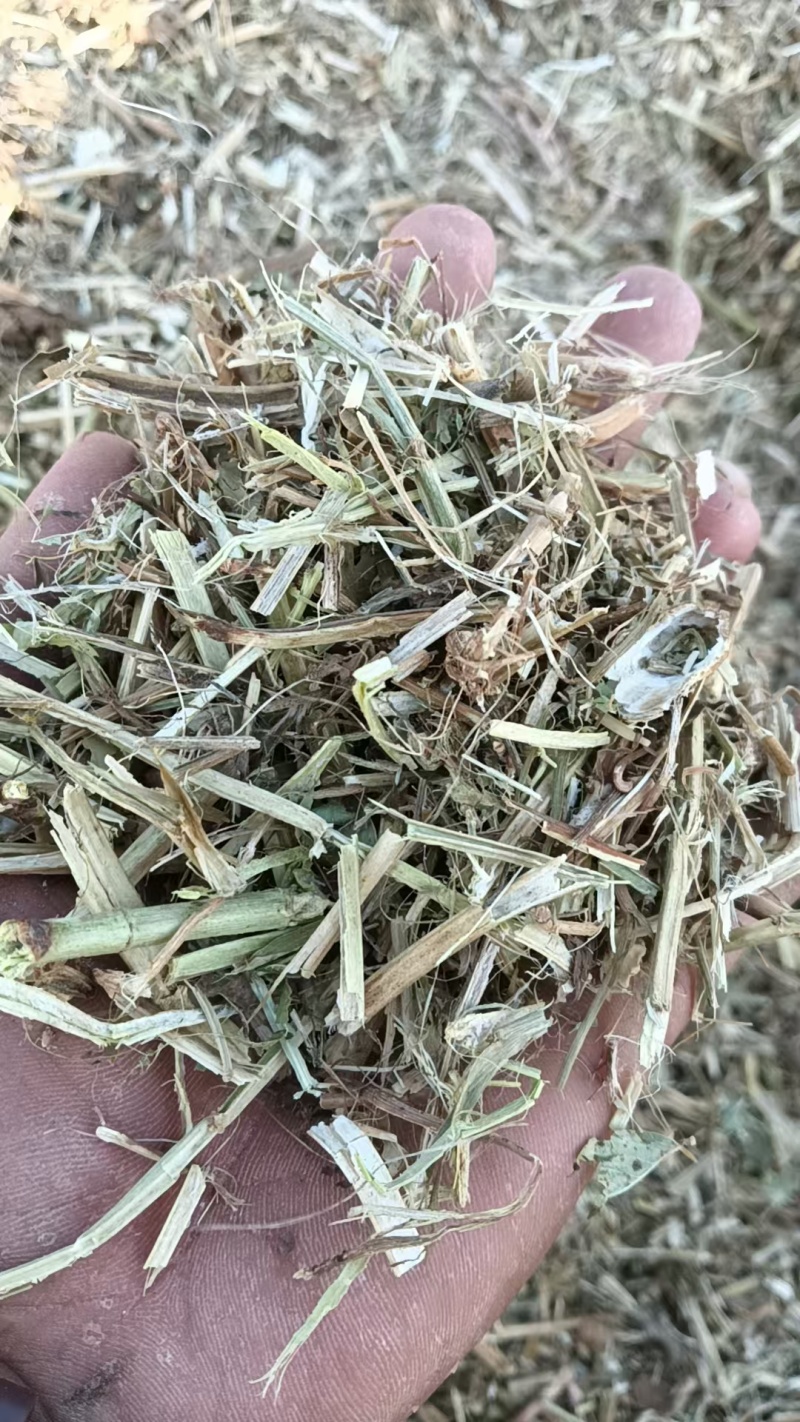 河南精品饲料原料花生秧一手货源诚信经营无霉变