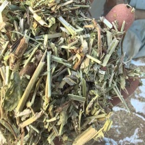 河南精品饲料原料花生秧一手货源诚信经营无霉变