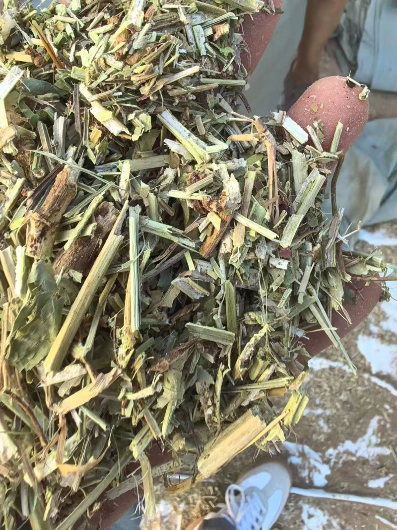 河南精品饲料原料花生秧一手货源诚信经营无霉变