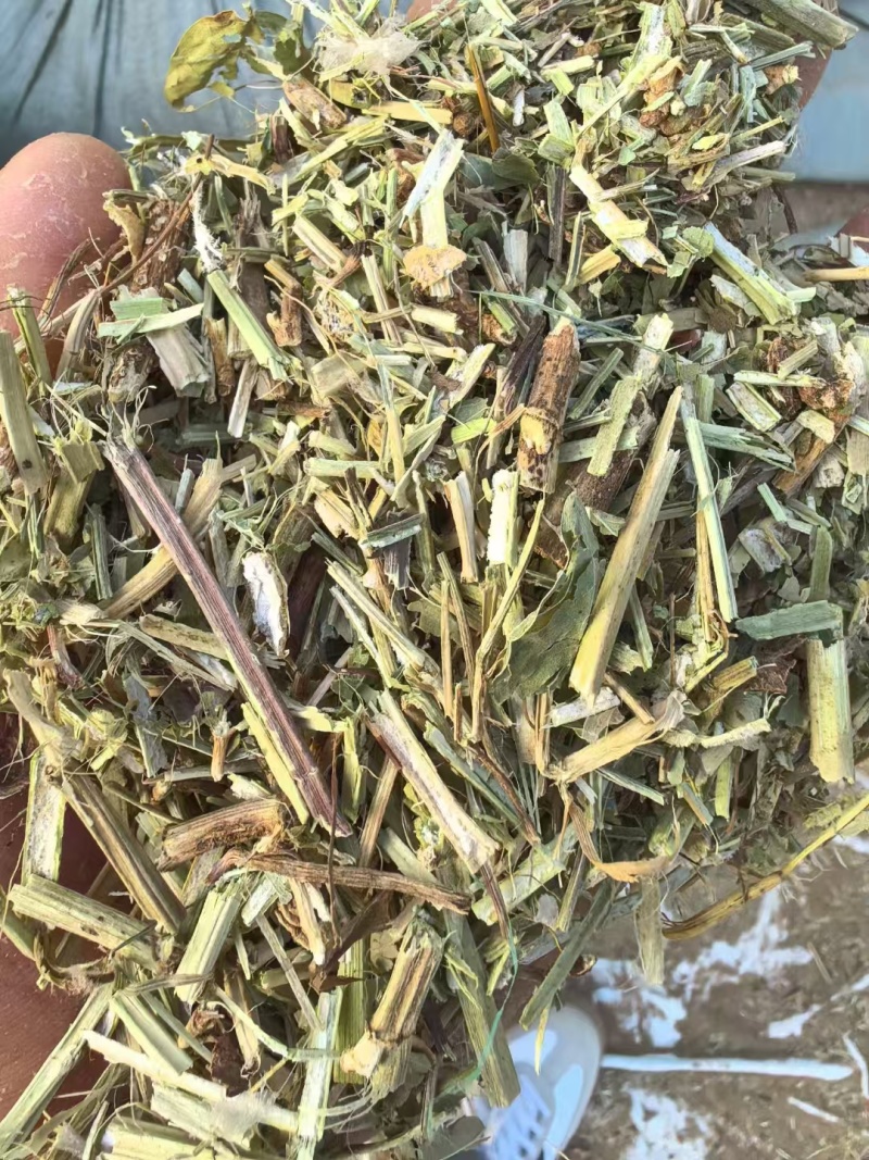 河南精品饲料原料花生秧一手货源诚信经营无霉变