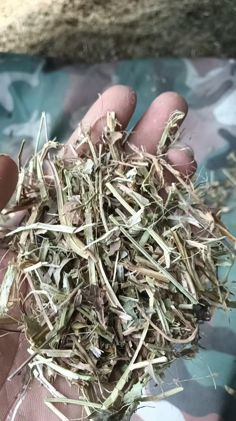 河南精品饲料原料花生秧一手货源诚信经营无霉变