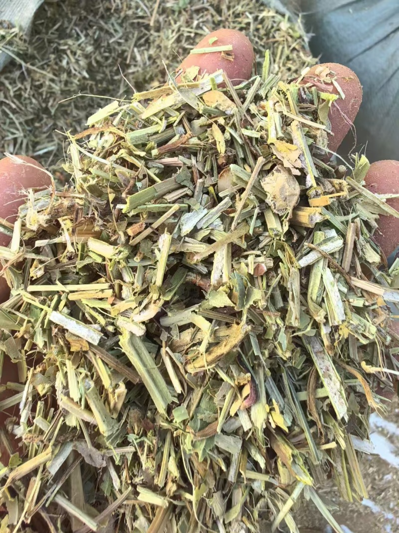 河南精品饲料原料花生秧一手货源诚信经营无霉变