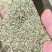 河南精品饲料原料花生秧叶粉一手货源诚信经营