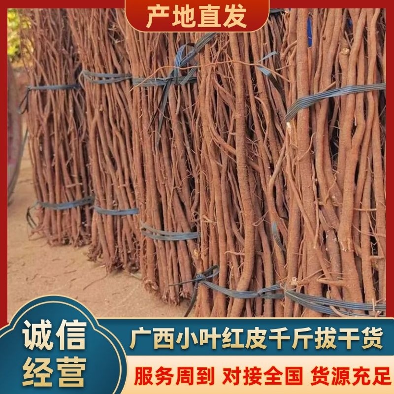 小叶红皮千斤拔干货，吊马桩，一条根欢迎咨询下单