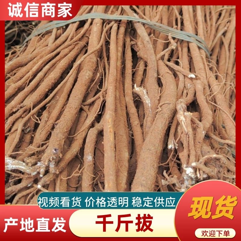 【小叶千斤拔鲜货，干货精选好货，对接批发，长期供货