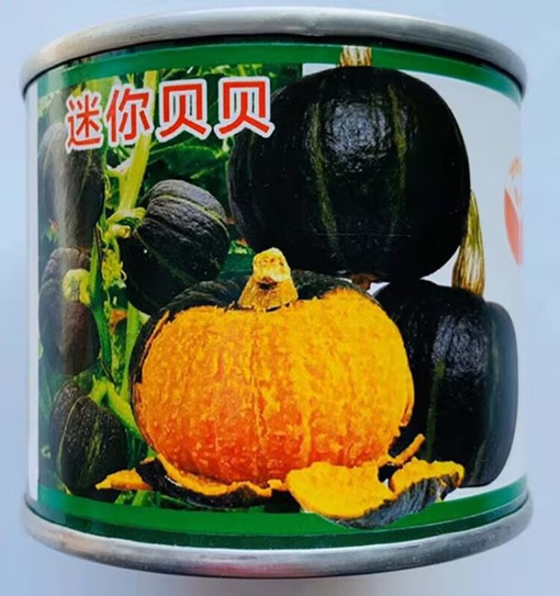 迷你贝贝南瓜种子高档礼品小南瓜种子果肉浓黄粉糯香甜