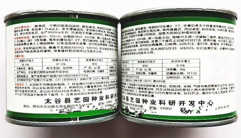 红美人红板栗南瓜种子短蔓型肉质紧密粉质甜面