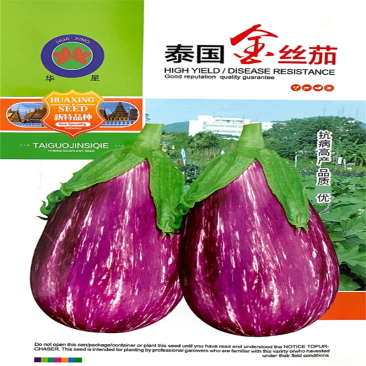 金丝茄种子泰国金丝茄种子高产彩茄子种子