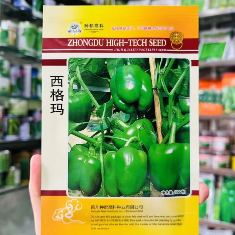 西格玛甜椒种子果大肉厚果形方正连续坐果能力强