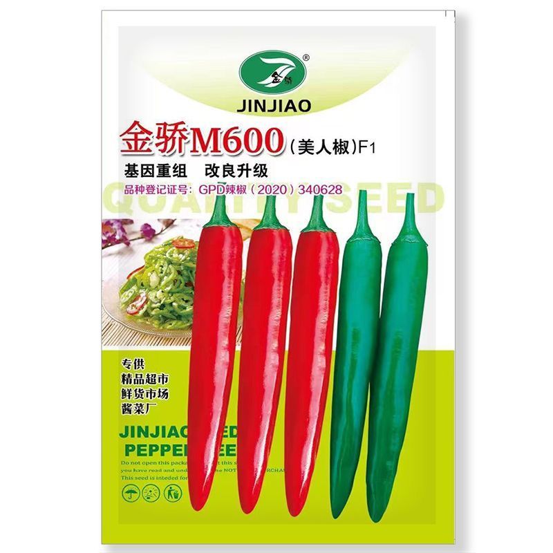金骄M600美人椒种子大果型小尖椒种子辣味浓香