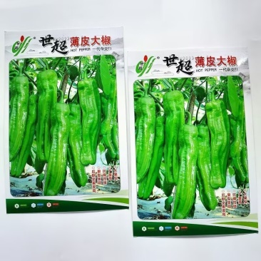 世超薄皮椒种子节间短挂果多微辣口感清脆耐高温高湿