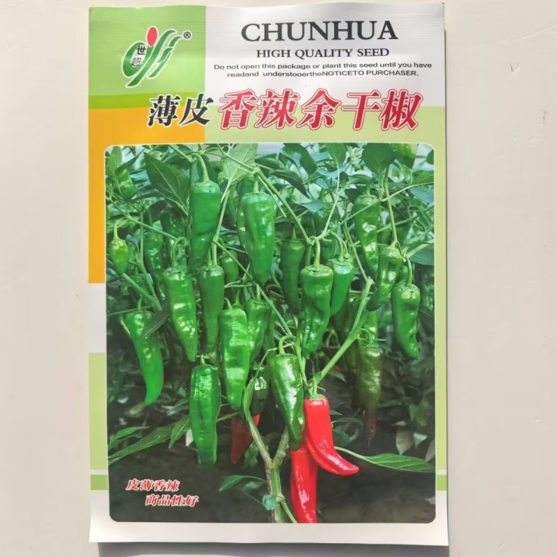 薄皮香辣余干椒种子肉厚细嫩味香辛辣适中